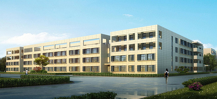 我們的優(yōu)勢(shì)01