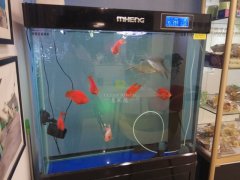玻璃魚缸臟了怎么清洗才干凈<div   id=